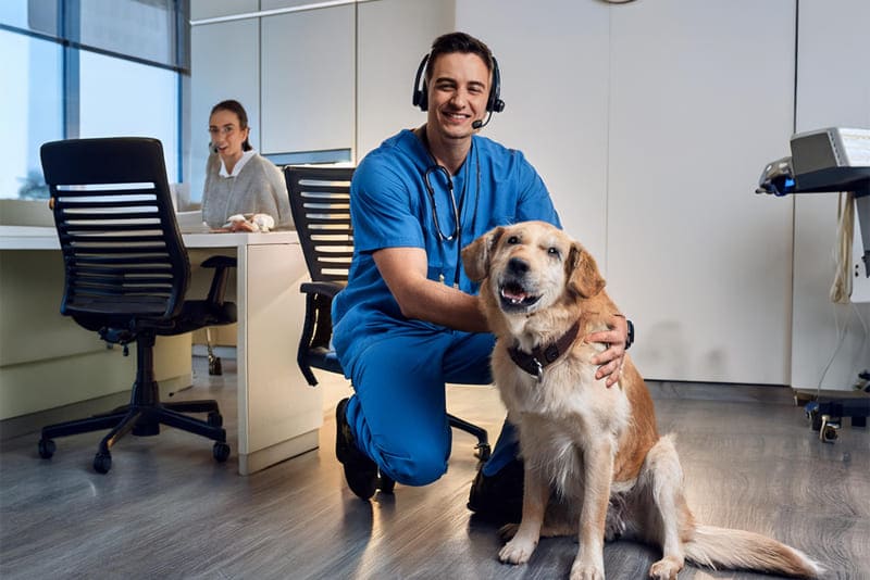 Urgencias veterinarias las 24 horas